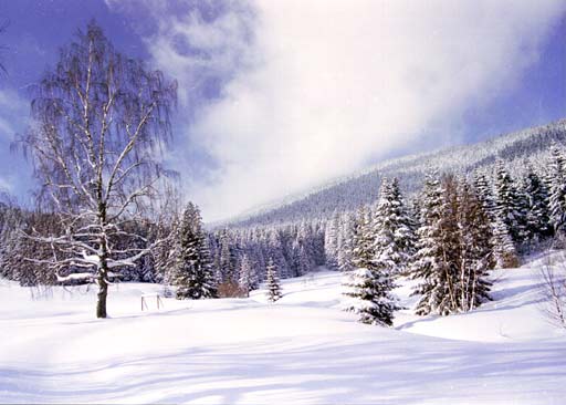 Na Chabenec, po snehovej burke, silvester 2001